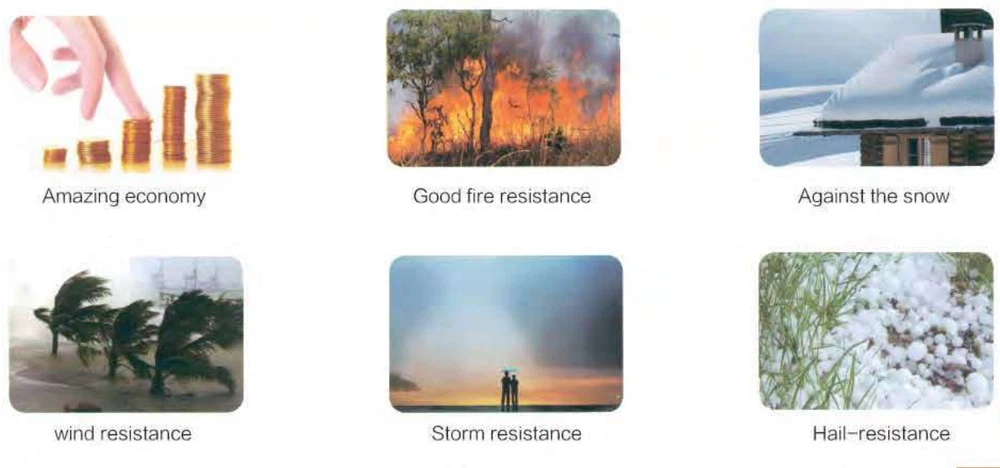 product-1253-586 product-1253-586