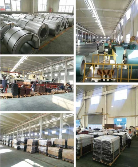 product-449-545